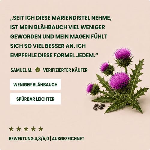 Mer Mariendistel